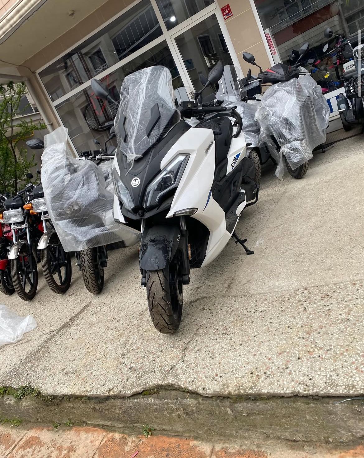 Dilek Motor